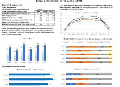 Labour market situation in The Gambia in 2023