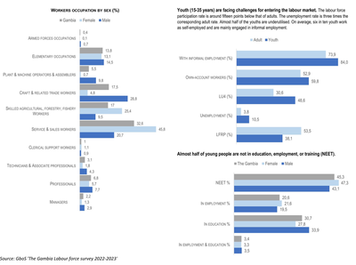 Labour market situation in The Gambia in 2023